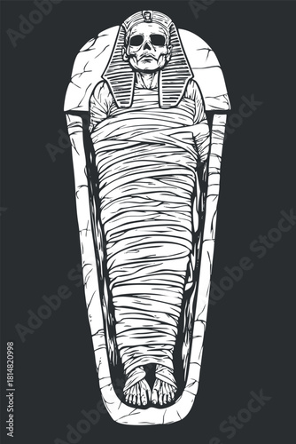 Detailed black and white vector illustration of an ancient Egyptian mummy inside a sarcophagus, ideal for horror-themed designs and educational materials