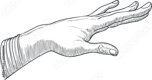 Detailed hand gesture illustration in sketch style, suitable for artistic and design applications.