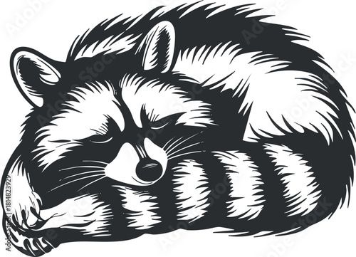Stylized black and white vector illustration of a sleeping raccoon, perfect for wildlife-themed designs and creative projects