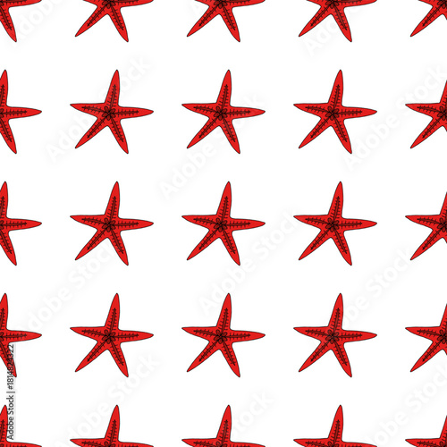 Seamless pattern with wonderful red starfish on a white background. vector image..eps
