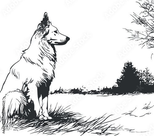 Stylized black and white vector illustration of a sitting collie dog in a serene outdoor landscape