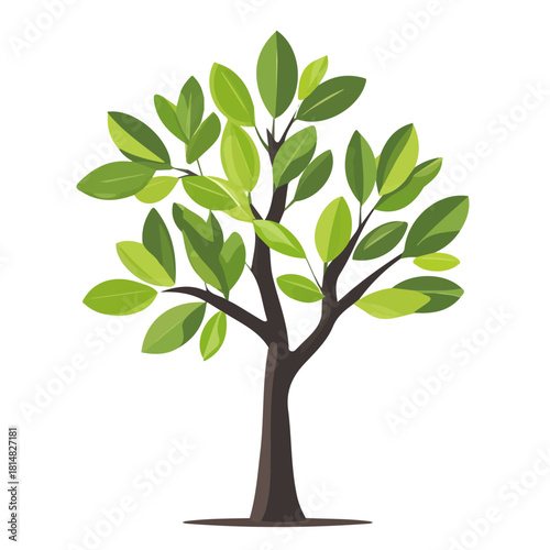 Modern flat 2D vector illustration of Olive Tree Sapling, clean and minimal design, isolated on white background.
