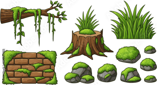 Green moss and lichen set. Swamp plant and liana hanging on forest tree branch, grass and oakmoss growth on brown stump and brick wall, mossy rocks and stones collection cartoon
