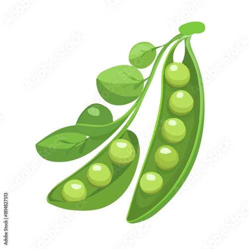 Flat 2D vector illustration of Peas, simple icon style on a clean white background.