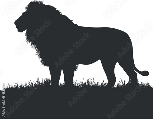 Silhouette vector illustration of a majestic lion standing in profile against a grassy backdrop, ideal for wildlife themes and nature projects