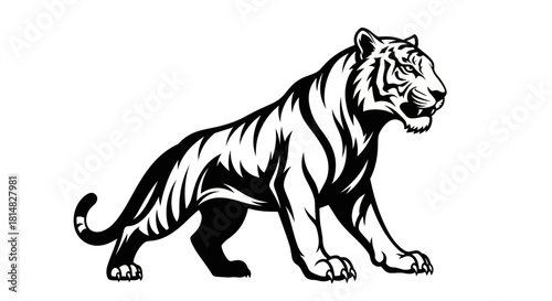 Black and white graphic illustration of a powerful tiger walking.