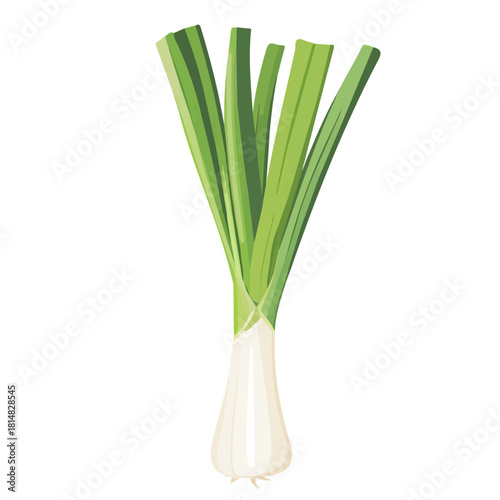 Modern flat 2D vector illustration of Leek, clean and minimal design, isolated on white background.