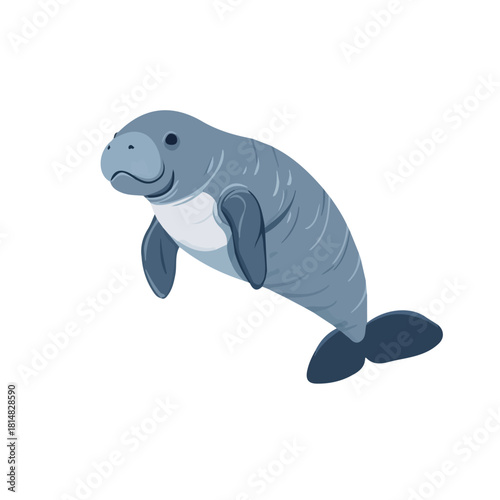 Simple flat 2D vector graphic of Manatee, modern icon look, displayed on a pure white background.