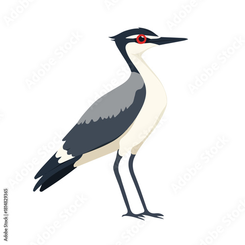 Simple flat 2D vector graphic of Lapwing, modern icon look, displayed on a pure white background.