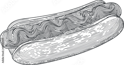 Detailed outline vector illustration of a hotdog with bun and condiments, ideal for food-related design projects.