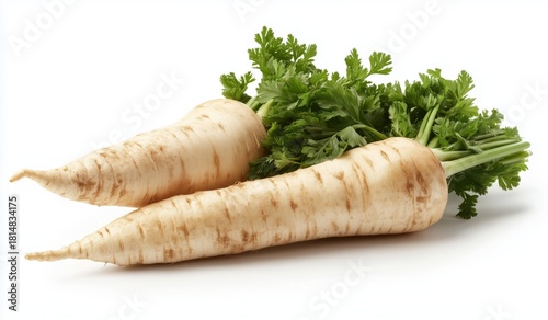 Fresh White Parsnips With Green Tops on a Clean Surface Ready for Cooking or ...