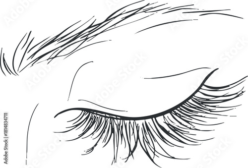 Minimalist line art vector illustration of a closed eye with long eyelashes, perfect for beauty and cosmetics design projects