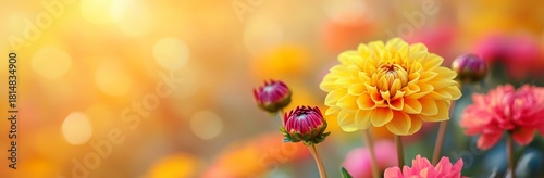 Colorful Flowers Bloom in a Vibrant Garden at Sunset Creating a Cheerful Atmo...