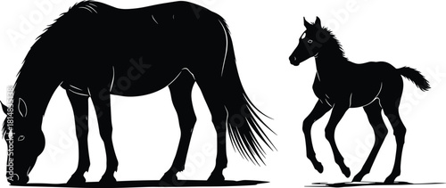 Horse silhouette, foal standing, grazing horse, animal pair, nature scene, black vector, farm life, wildlife icon, flat vector illustration