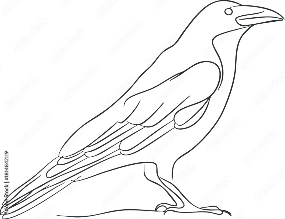 Obraz premium Minimalist line art illustration of a bird featuring a sleek profile, suitable for nature-themed design projects