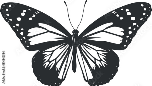 Elegant black and white vector illustration of a butterfly, perfect for nature-themed branding and design projects