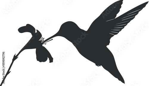 Stylized silhouette vector illustration of a hummingbird hovering near a flower, ideal for nature-themed designs and branding.