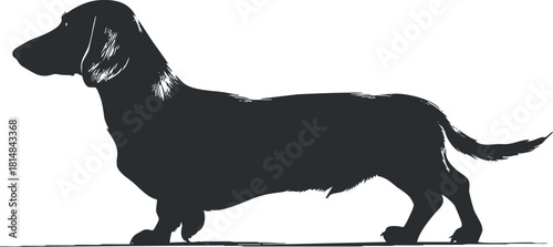 Silhouette vector illustration of a dachshund dog in profile, ideal for pet-themed designs and graphics