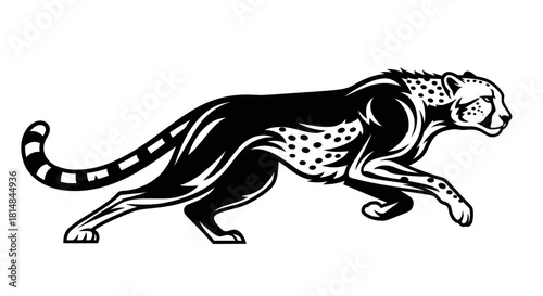 Dynamic Cheetah Illustration Capturing Speed and Grace in Motion.