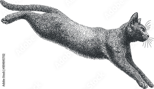 Artistic black and white vector illustration of a leaping cat, showcasing dynamic movement and playful elegance for design projects.