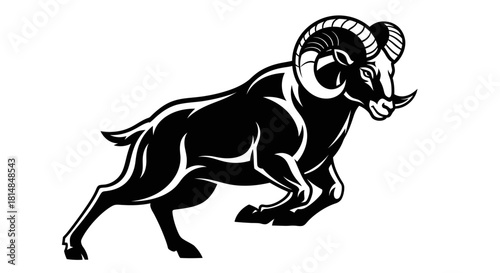 Powerful black ram with large horns in a charging pose.