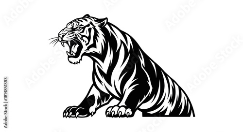 Aggressive Tiger Roaring with Open Mouth and Sharp Claws.