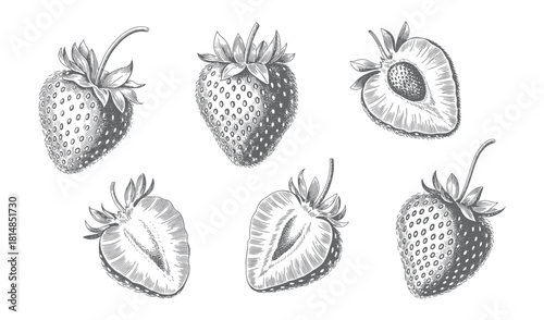Hand drawn strawberry collection in vintage engraving style. Vintage strawberry fruit set in classic botanical style.