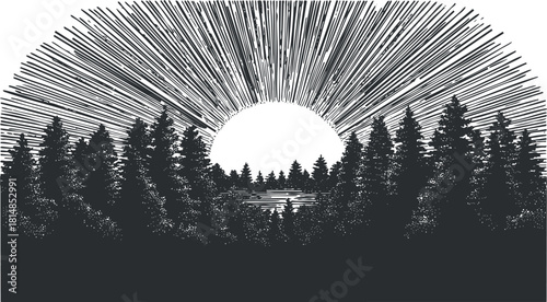 Stylized black and white vector illustration of a forest scene with rays of sunlight emerging from the horizon.