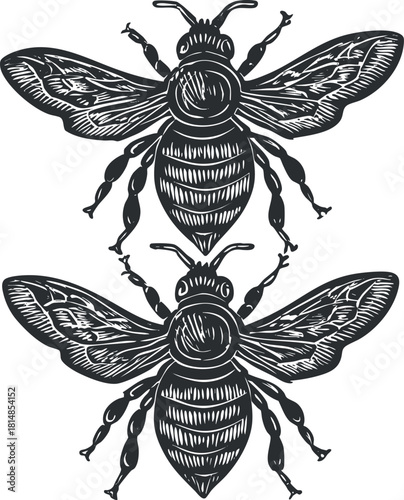 Vintage black and white vector illustration of stylized bees for decorative and nature-themed projects