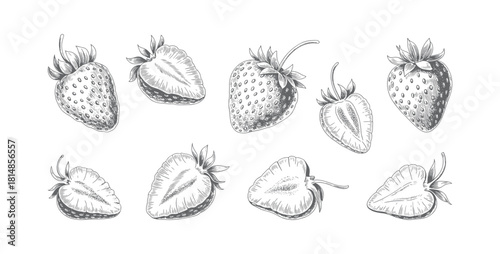 Hand drawn strawberry collection in vintage engraving style. Vintage strawberry fruit set in classic botanical style.