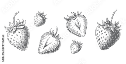 Hand drawn strawberry collection in vintage engraving style. Vintage strawberry fruit set in classic botanical style.