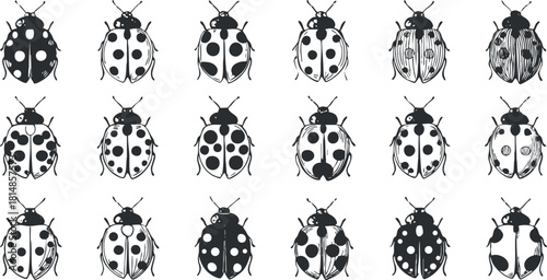 Collection of minimalist black and white vector illustrations of ladybugs, perfect for nature-themed design projects and patterns