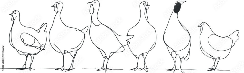 Naklejka premium Stylized line art illustration of a collection of six chickens showcasing different poses and expressions for farm-themed designs.