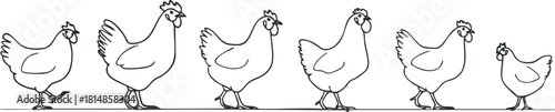 Playful outline vector illustration of a series of chickens in various poses, ideal for farm-themed designs and decorations