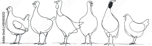 Stylized line art illustration of a collection of six chickens showcasing different poses and expressions for farm-themed designs.