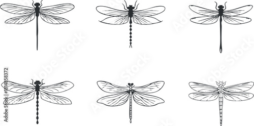 Collection of minimalist black and white vector illustrations of dragonflies for nature and design projects