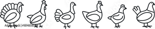 Outline vector illustration set of various bird icons including turkey and chickens for farm-themed design projects
