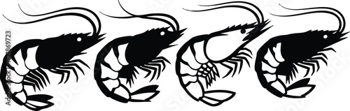 Shrimp vector illustration showcasing multiple shrimp designs in various poses for culinary and seafood themes 