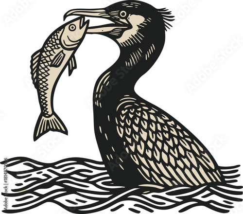 Cormorant bird catching fish in water vintage style wildlife illustration vector