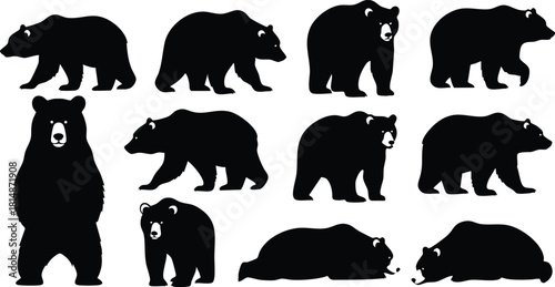 Black bear silhouettes in various poses and actions for creative design projects 