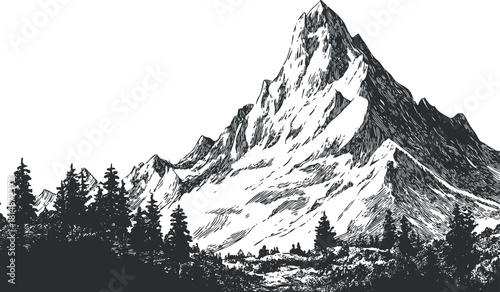 Detailed black and white vector illustration of a majestic mountain landscape with surrounding pine forests and rugged terrain