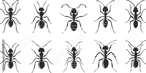 Silhouette vector icon set showing various styles of ants for nature and biology-themed designs