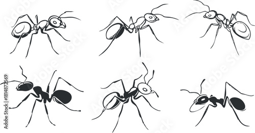 Vector illustration set of six stylized ants in minimalist black and white design for nature-themed graphics and educational materials