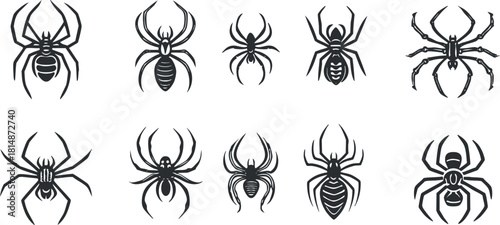 Collection of minimalist black and white vector illustrations featuring various spider designs for nature and wildlife projects