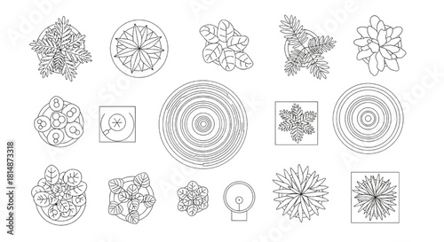 Top view indoor potted plants, round rugs, and lamps. Vector symbols set for architectural floor plans.