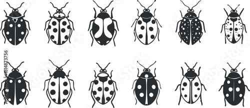 Set of black and white vector icons depicting various styles of beetles, perfect for educational or decorative purposes