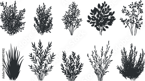 Set of minimalist black and white vector illustrations featuring various types of foliage and plants for nature-themed designs