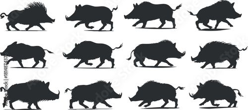 Stylized silhouette vector illustration of various wild boars in different poses, suitable for wildlife design projects