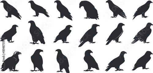 Silhouette vector icon set showcasing various bird designs, ideal for nature-themed graphic projects and branding.