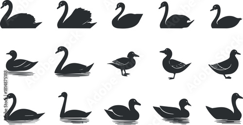 Elegant silhouette vector icon set showcasing various swans and ducks for nature-themed designs and illustrations